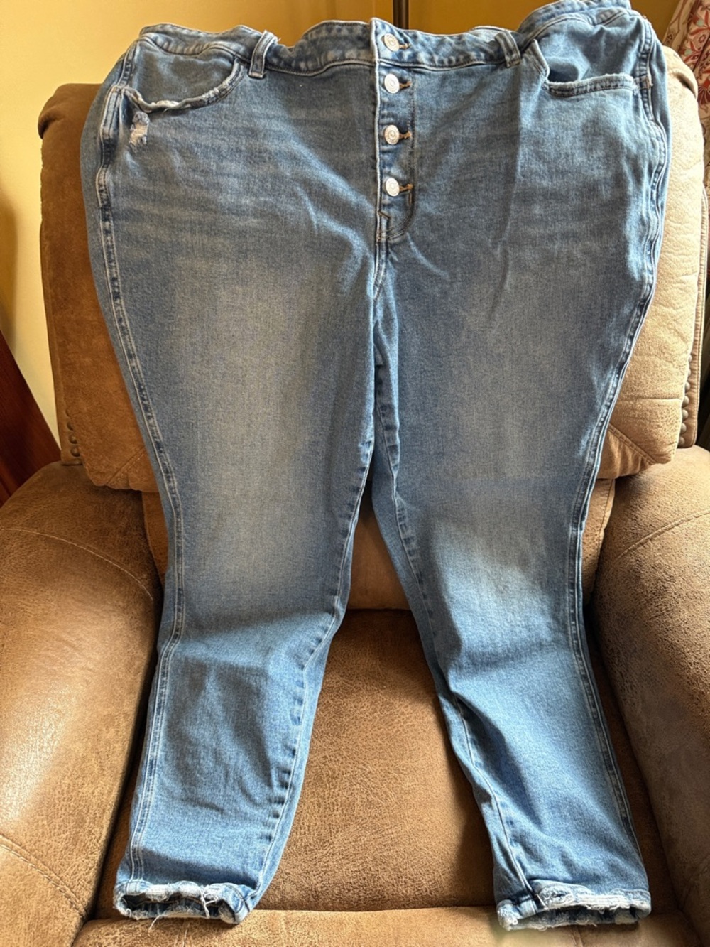 Women's Blue Denim Jeggings - Button Fly
